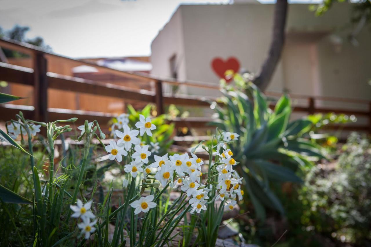 Connected Guest House Amirim Εξωτερικό φωτογραφία